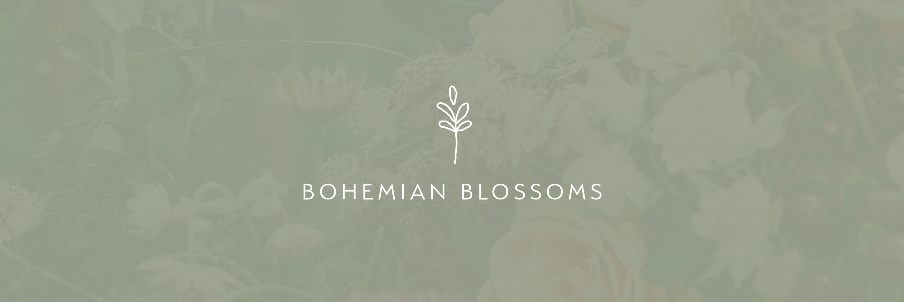 Bohemian Blossoms primary logo on a soft botanical field